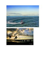 Các hình ảnh về cầu Thị Nại