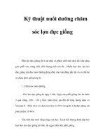 Kỹ thuật nuôi dưỡng chăm sóc lợn đực giống pot