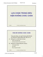 kinh tế học vĩ mô dành cho chính sách công bài giảng LỰA CHỌN TRONG ĐIỀU KIỆN KHÔNG CHẮC CHẮN ppsx