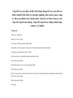 Cấp hỗ trợ sau đầu tưKý kết Hợp đồng hỗ trợ sau đầu tư điều chỉnhChủ đầu tư (doanh nghiệp nhà nước) giao công ty theo qui định của chính phủ: chuyển sở hữu công ty cho tập thể người lao động. Tập thể người lao động thành lập công ty cổ phần ppsx