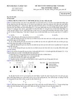 ĐỀ CHÍNH THỨC MÔN SINH HỌC KHỐI B NĂM 2010 - MÃ ĐỀ 958 potx