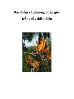 Đặc điểm và phương pháp gieo trồng cây thiên điểu potx