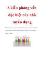 6 kiểu phỏng vấn đặc biệt của nhà tuyển dụng pptx
