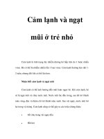 Cảm lạnh và ngạt mũi ở trẻ nhỏ ppt