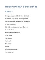 Reflexive Pronoun pdf