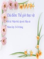 Chủ điểm: Thế giới thực vật - Đề tài: Nhận biết, tập nói Bắp cải ppsx