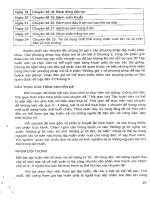 Kĩ Thuật Chăn Nuôi - Chi Heo, Chi Lợn (tập 2) phần 2 docx