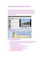 OpenShot – Công cụ chỉnh sửa video cho Ubuntu potx