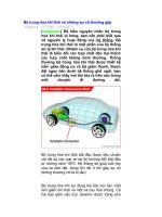 Bộ trung hòa khí thải và những sự cố thường gặp doc