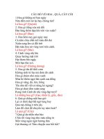 Câu đố về hoa quả, cây cối