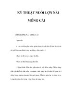 KỸ THUẬT NUÔI LỢN NÁI MÓNG CÁI potx