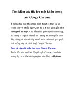 Tìm kiếm các file lưu mật khẩu trong của Google Chrome potx