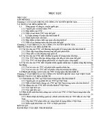 Vai trò của các công ty xuyên quốc gia trong toàn cầu hóa kinh tế