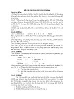 DE THI VAO CHUYEN HOA 10