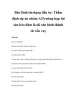 Bảo lãnh tín dụng đầu tư: Thẩm định dự án nhóm ATrường hợp tài sản bảo đảm là tài sản hình thành từ vốn vay pdf