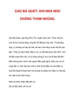 CAO BÁ QUÁT: KHI NHÀ NHO CHỐNG THAM NHŨNG. doc