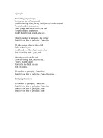 Lời bài hát Apologize pps