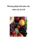 Phương pháp tưới nước cho vườn cây ăn trái potx