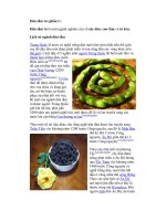 Dâu tằm tơ (phần I ) ppsx