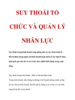 SUY THOÁI TỔ CHỨC VÀ QUẢN LÝ NHÂN LỰC pdf