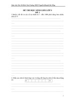 ĐỀ KIỂM TRA HỌC SINH GIỎI LỚP 5 ĐỀ 1