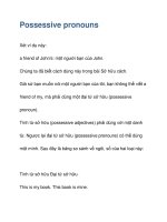 Possessive pronouns pot