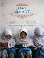 three cups of tea - greg mortenson
