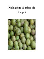 Nhân giống và trồng sấu ăn quả pptx