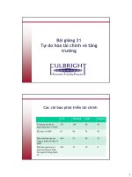 kinh tế học vĩ mô: lý thuyết và ứng dụng chính sách, bài giảng tự do hóa tài chính và tăng trưởng pptx