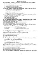 Bài tập chia đông từ dùng để ôn thi Bắc Giang