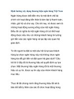 Định hướng xây dựng thương hiệu ngân hàng Việt Nam docx