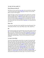 Ẩm thực Việt Nam ( phần VI ) pptx