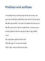 Prefixes and suffixes pps