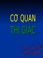 CƠ QUAN THỊ GIÁC pps