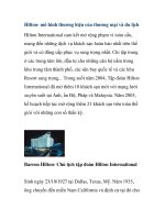 Hilton- mô hình thương hiệu của thương mại và du lịch pps