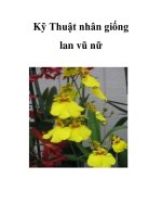 Kỹ Thuật nhân giống lan vũ nữ pptx