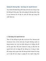 Quảng bá thương hiệu - tận dụng sức mạnh Internet ppt