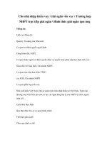 Cho nhà nhập khẩu vay: Giải ngân vốn vay  Trường hợp NHPT trực tiếp giải ngân  Hình thức giải ngân tạm ứng pps