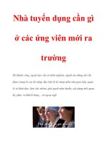Nhà tuyển dụng cần gì ở các ứng viên mới ra trường docx