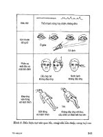 Tài liệu hồi sức cấp cứu - phần 1 hồi sức cấp cứu (tt) - tổn thương dưới lều docx