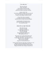 Thơ dịch:Tình yêu sau một tình yêu