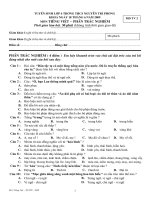 De TV NTP-Hue trac nghiem so 2