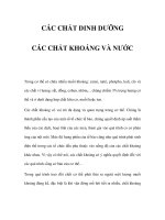 CÁC CHẤT DINH DƯỠNG - CÁC CHẤT KHOÁNG VÀ NƯỚC pdf
