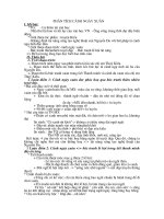 phan tich canh ngay xuan