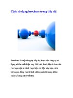 Cách sử dụng brochure trong tiếp thị doc