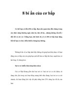 8 bí ẩn của cơ bắp ppt