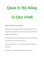 Quản lý Hệ thống và Quy trình pdf