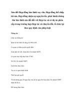 Sửa đổi Hợp đồng bảo lãnh vay vốn, Hợp đồng thế chấp tài sản, Hợp đồng nhận nợ nguyên tắc, phát hành chứng thư bảo lãnh sửa đổi đối với Hợp tác xã có dự án phân cấp trong trường hợp Hợp tác xã chuyển đổi, tổ chức lại theo quy định của pháp luật potx