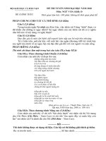 ĐỀ CHÍNH THỨC MÔN VĂN KHỐI D NĂM 2010 pdf