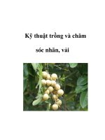 Kỹ thuật trồng và chăm sóc nhãn, vải potx